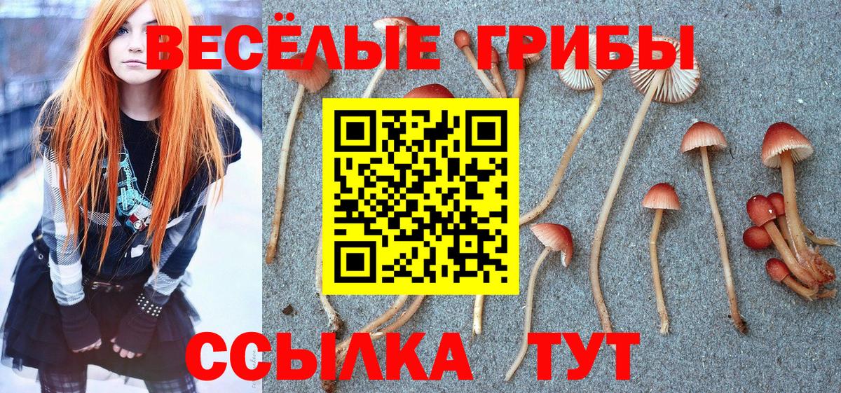 Галлюциногенные грибы мухоморы  Вход с VPN  Златоуст 