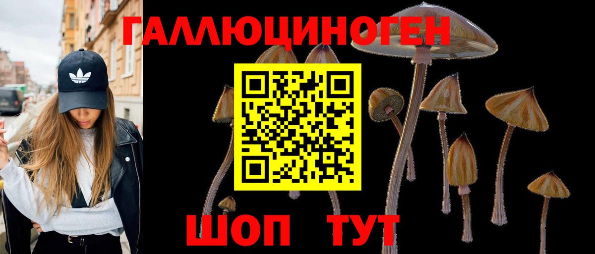 Галлюциногенные грибы MAGIC MUSHROOMS Златоуст
